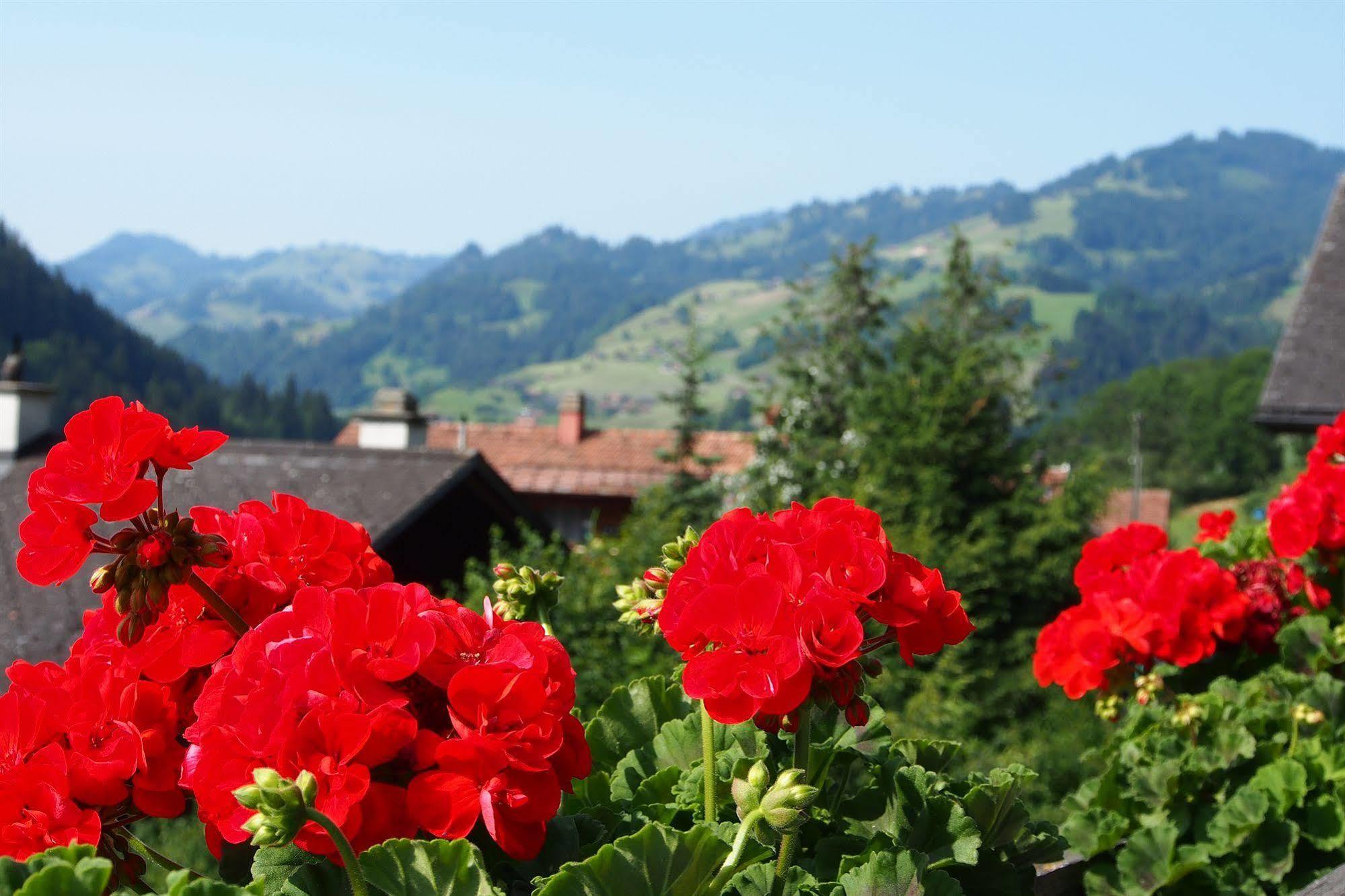Hotel Simmental Boltigen ภายนอก รูปภาพ